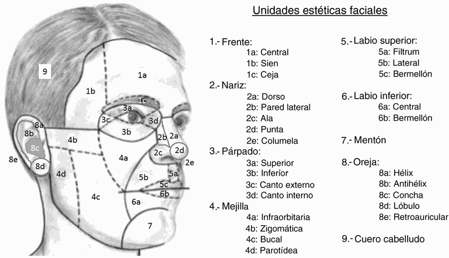 Mapa facial de referencia